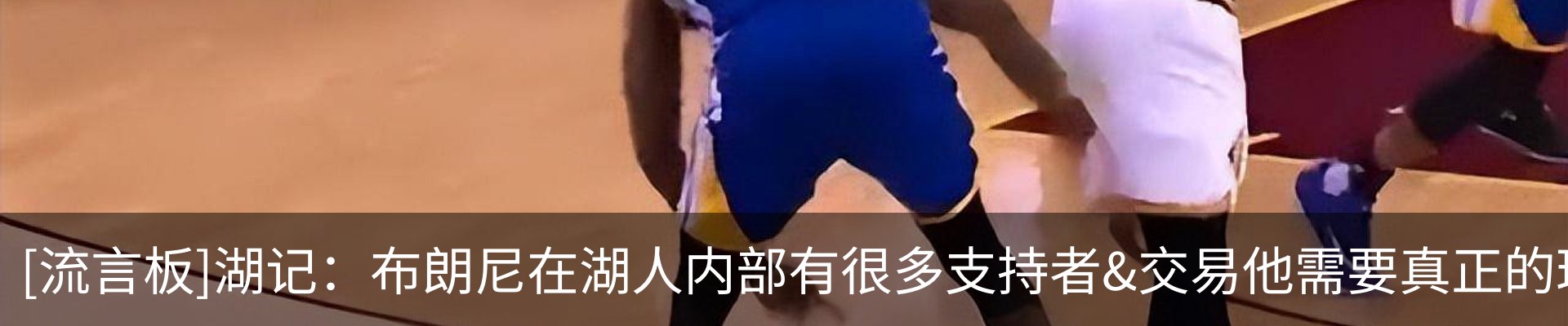 新闻动态